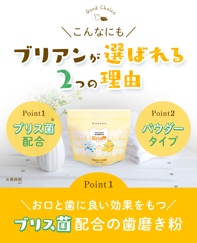 ブリアンが選ばれる2つの理由